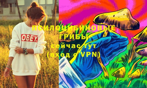 дживик Покров
