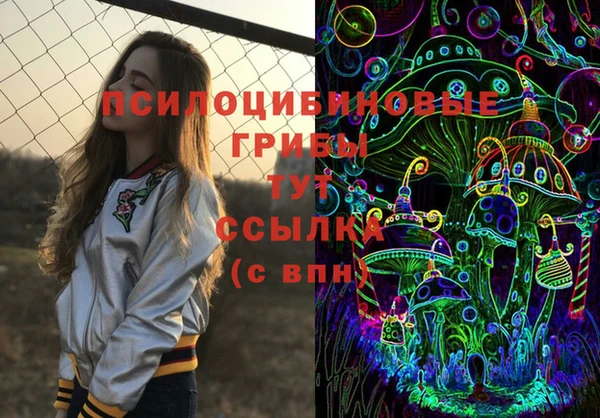стаф Алексеевка