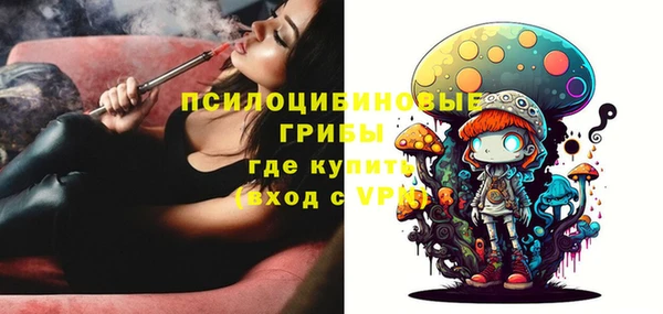 стаф Алексеевка