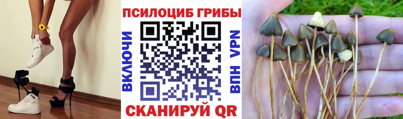 OMG ССЫЛКА  Пенза  Псилоцибиновые грибы мицелий  shop как зайти  где продают  
