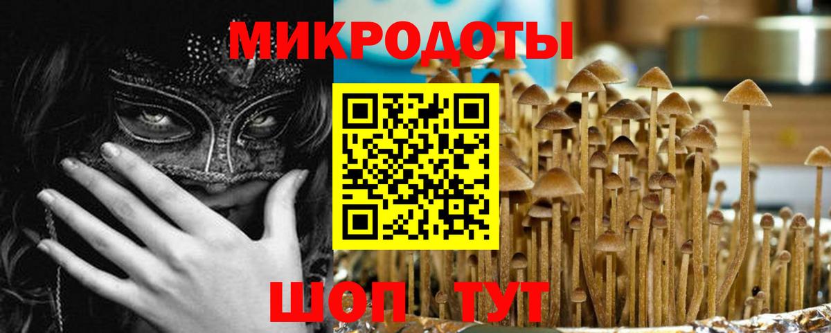 Галлюциногенные грибы Psilocybine cubensis Пенза