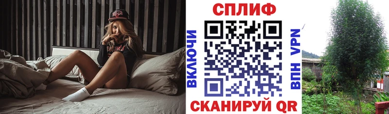 где найти   Пенза  Марихуана ГИДРОПОН 